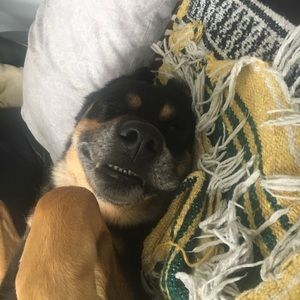 Meet your Posher, Kristina